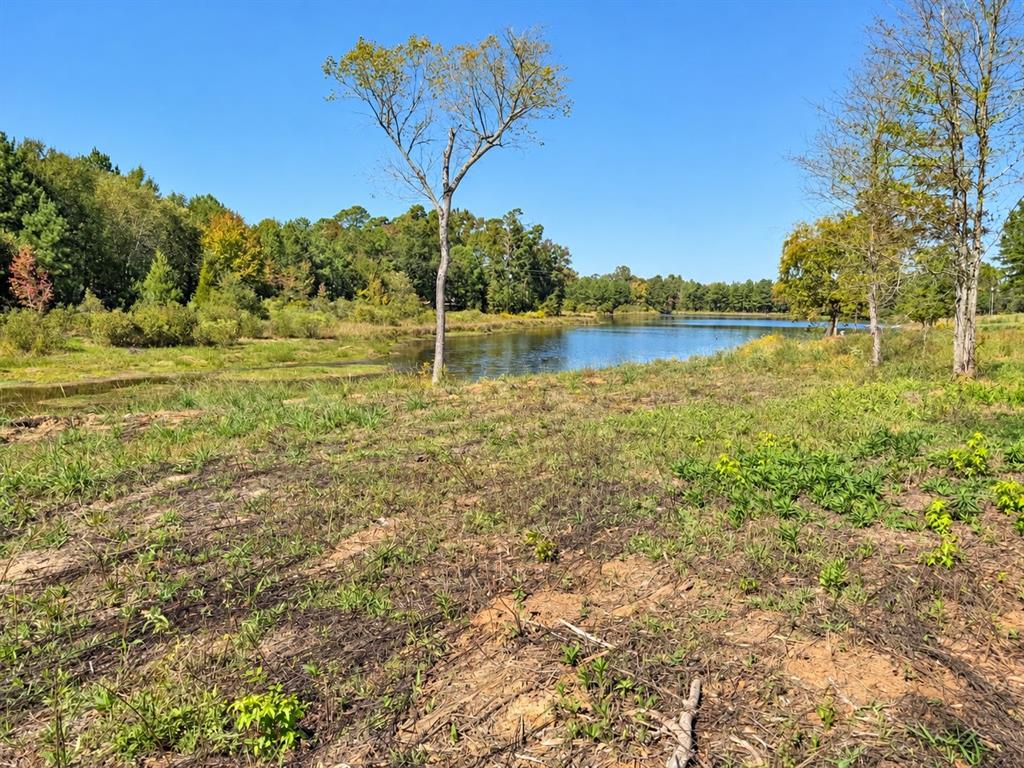 15997 FM 2015, Winona, TX 75792 15997 FM 2015, Winona, TX 75792