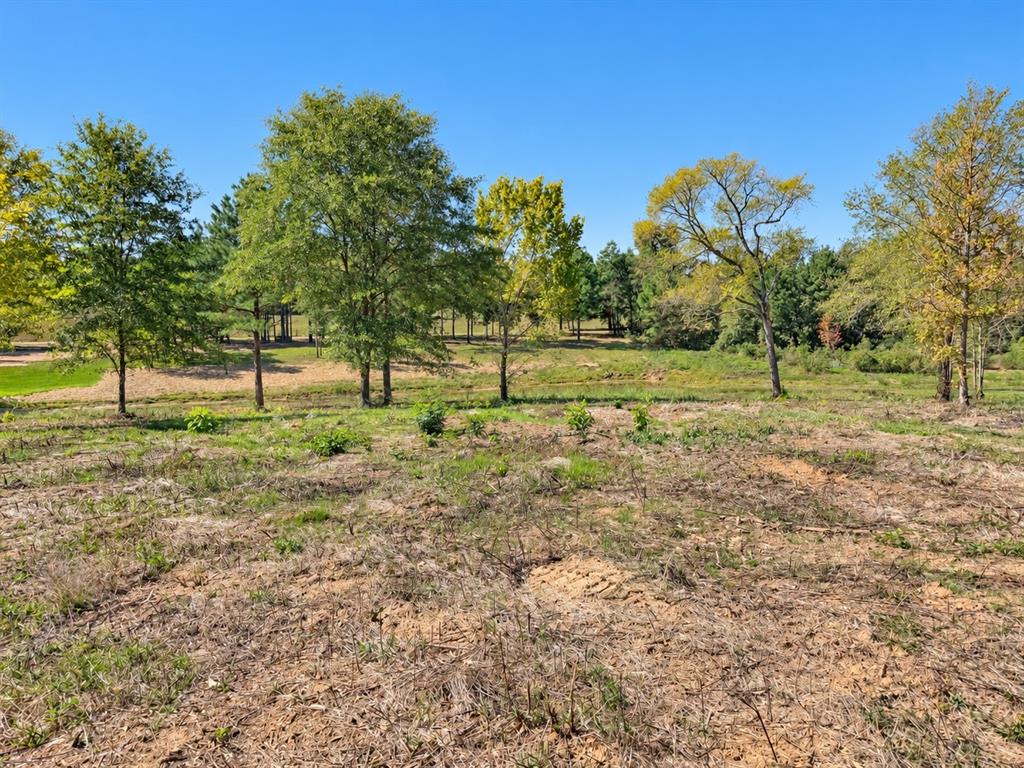 15997 FM 2015, Winona, TX 75792
