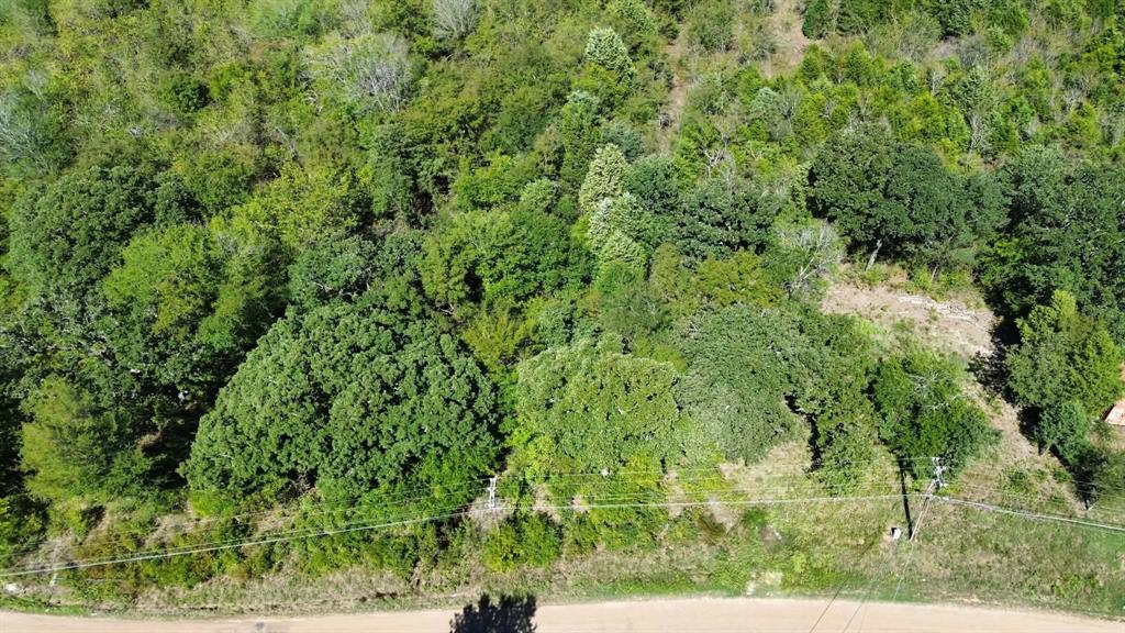 Lot 2 W Quanah Road, Mabank, TX 75156