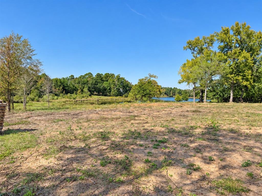 TBD FM 2015 Lot A, Winona, TX 75792