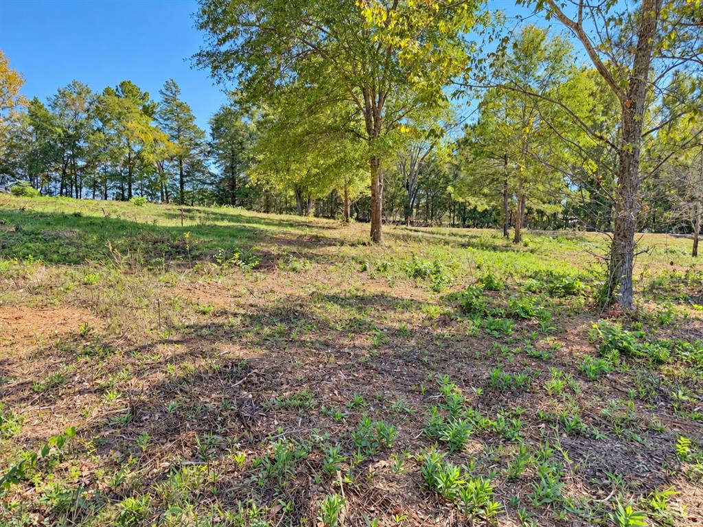 TBD FM 2015 Lot A, Winona, TX 75792