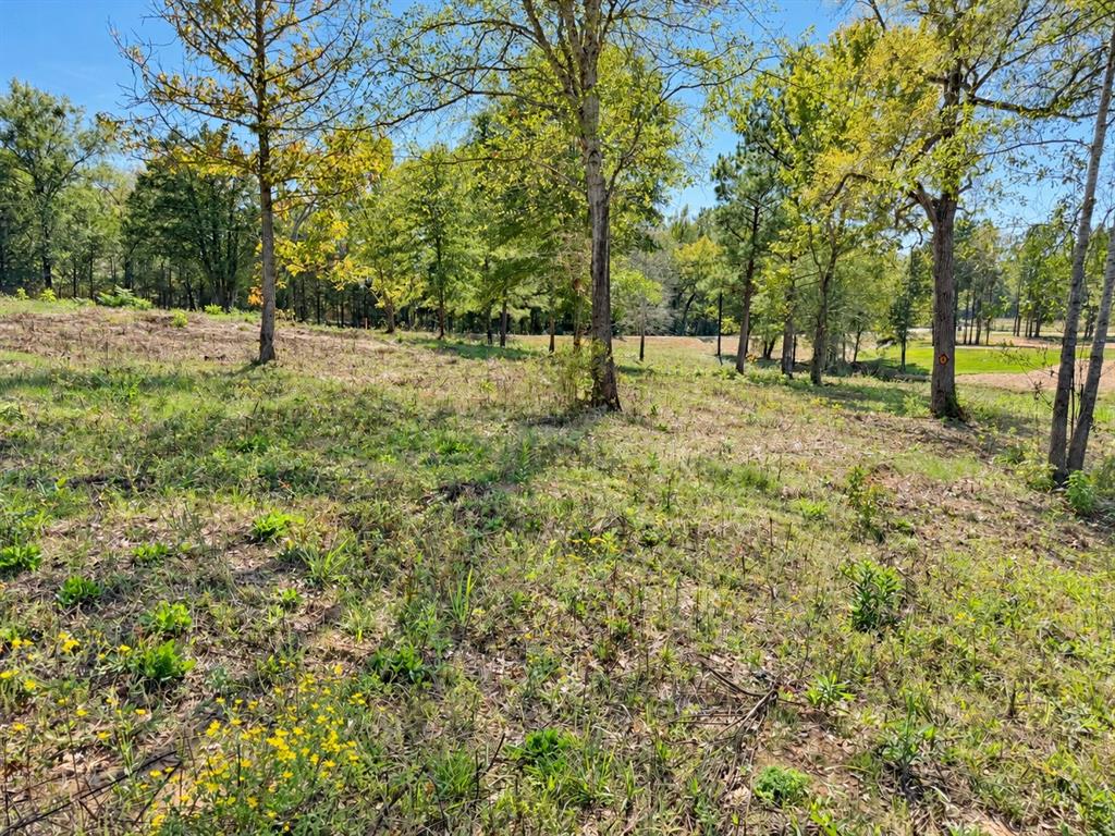TBD FM 2015 Lot B, Winona, TX 75792