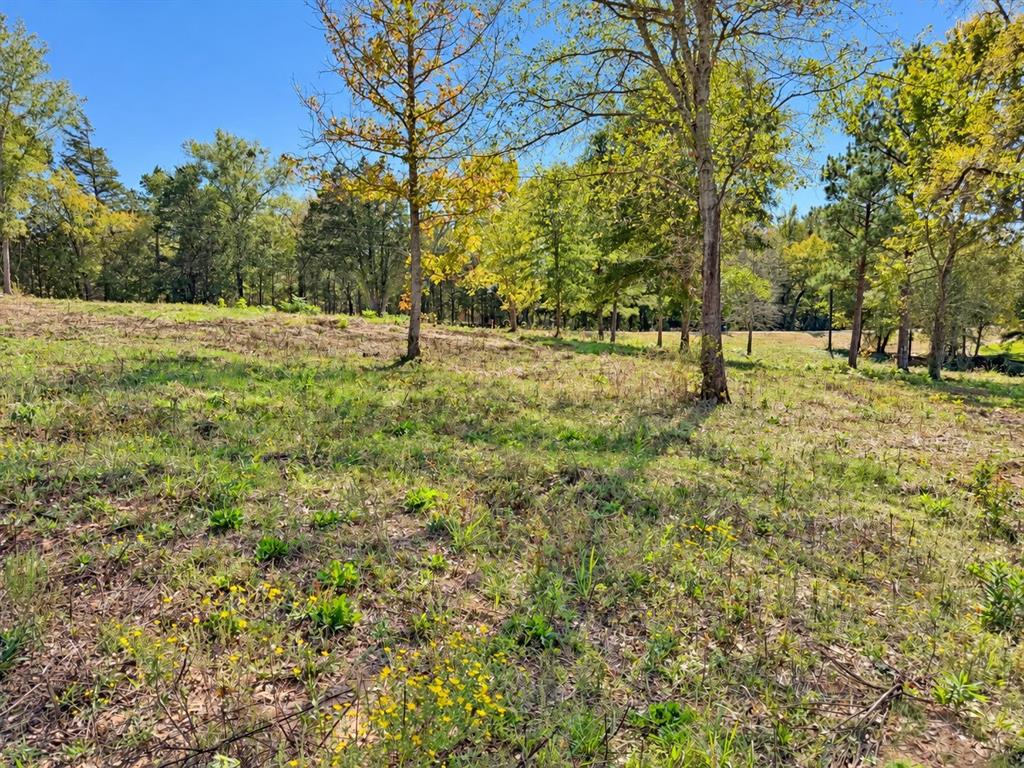 TBD FM 2015 Lot B, Winona, TX 75792
