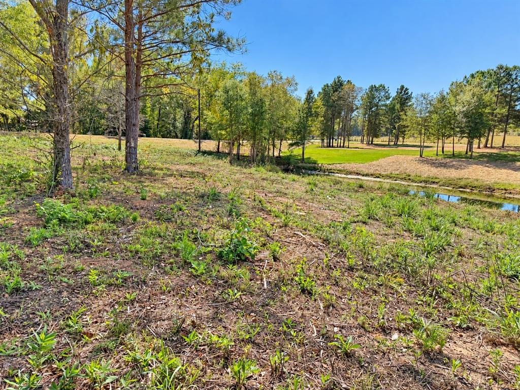TBD FM 2015 Lot C, Winona, TX 75792
