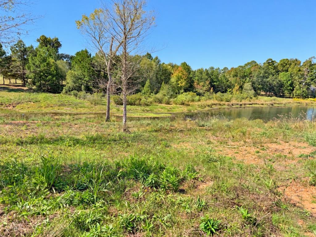 TBD FM 2015 Lot C, Winona, TX 75792