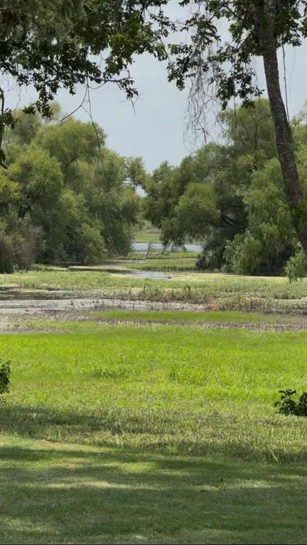 Expansive grounds featuring a naturalized landscape, mature tree canopy, and direct waterfront access