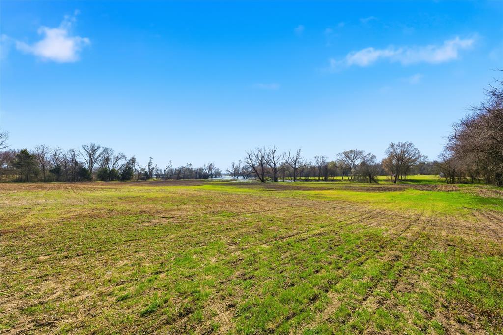 Expansive acreage featuring cleared level terrain, mature tree lines, and open horizon