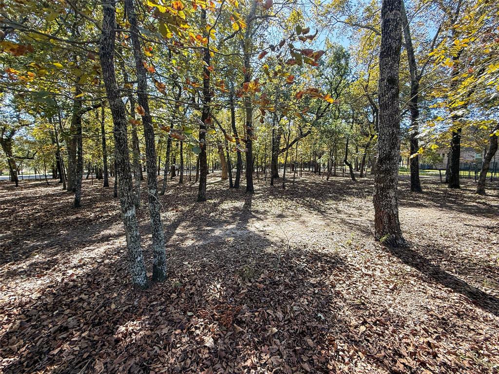 7386 Clint Ct, Athens, TX 75752
