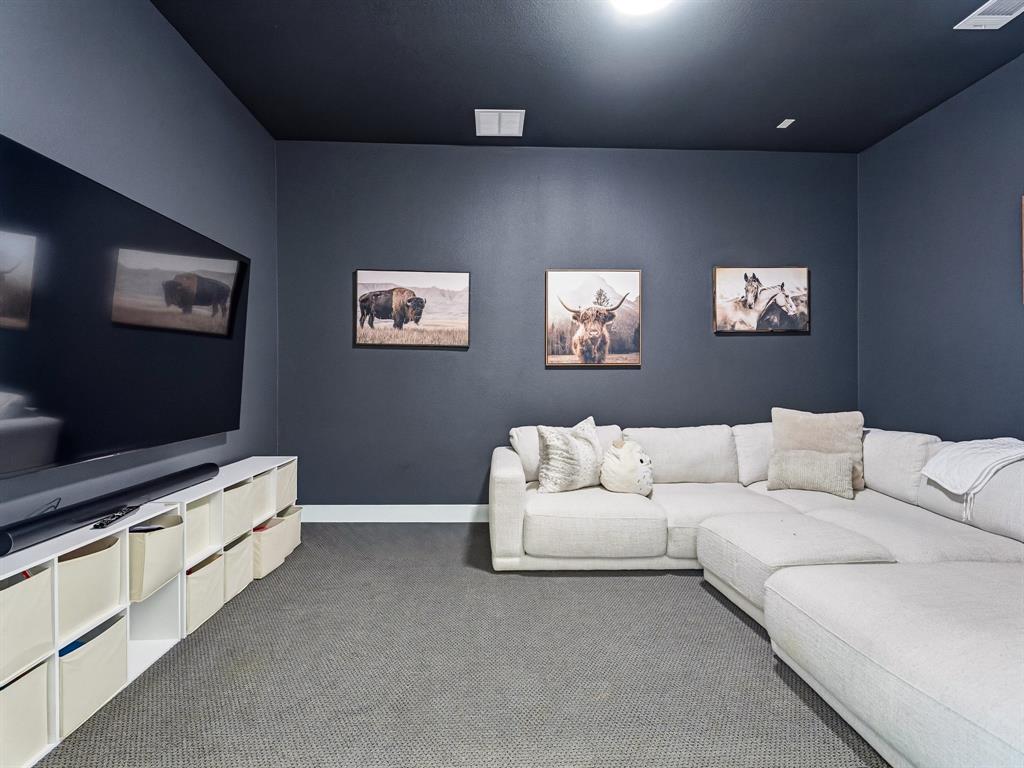 Dark-toned interior room featuring wall-to-wall carpeting, a deep-pigmented ceiling, and a built-in modular storage unit