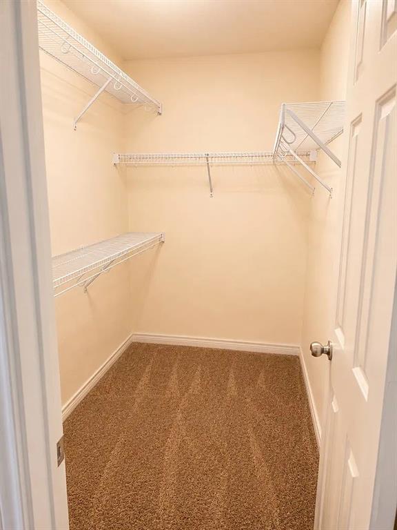 Storage space featuring wall-to-wall carpeting and white wire shelving units