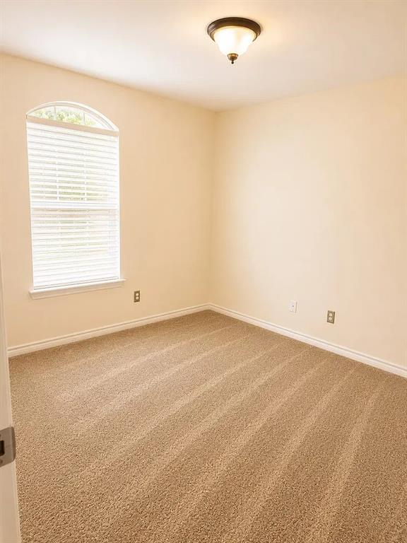 Neutral carpet flooring, arched top window, and flush-mount ceiling lighting