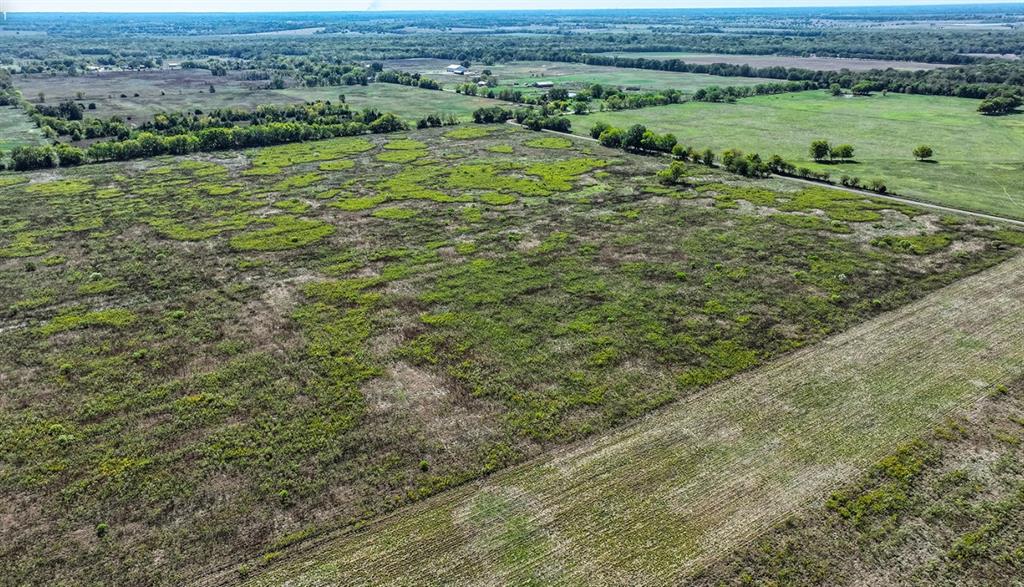 Expansive acreage featuring cleared pasture land, clusters of mature trees, and natural terrain boundaries