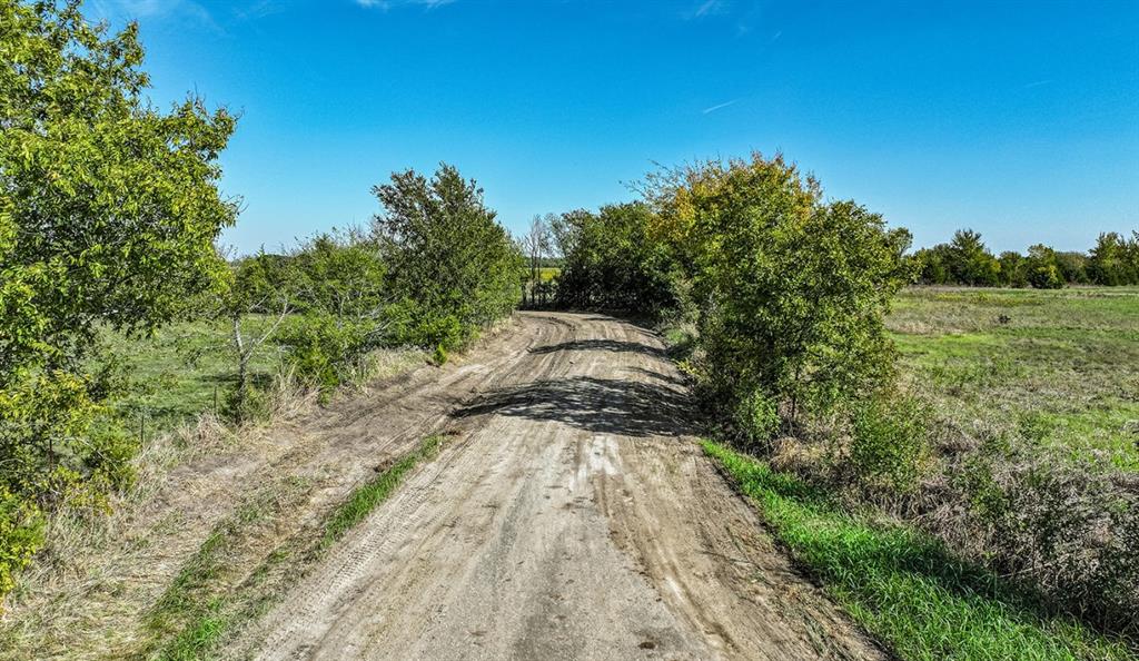 Expansive acreage featuring mature trees, natural vegetation, and an unpaved road Expansive acreage featuring mature trees, natural vegetation, and an unpaved road