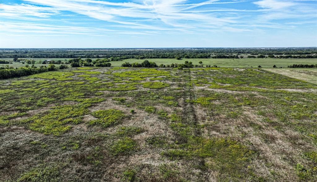 Expansive acreage featuring cleared level terrain, native ground cover, and perimeter mature trees