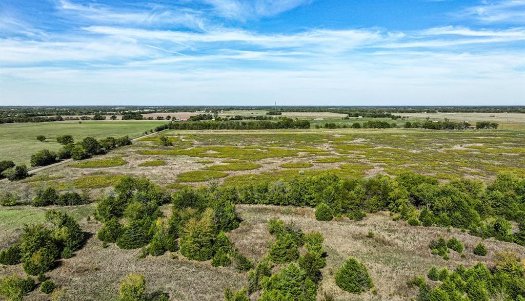 Expansive acreage featuring open meadow terrain, clusters of mature trees, and natural vegetation
