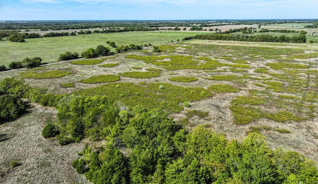 Expansive acreage featuring cleared pastureland, native grasses, and stands of mature trees