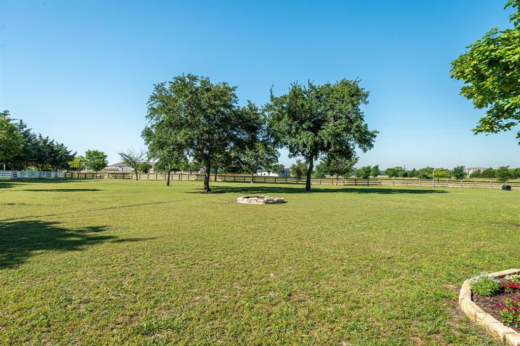 Expansive Treed Lot