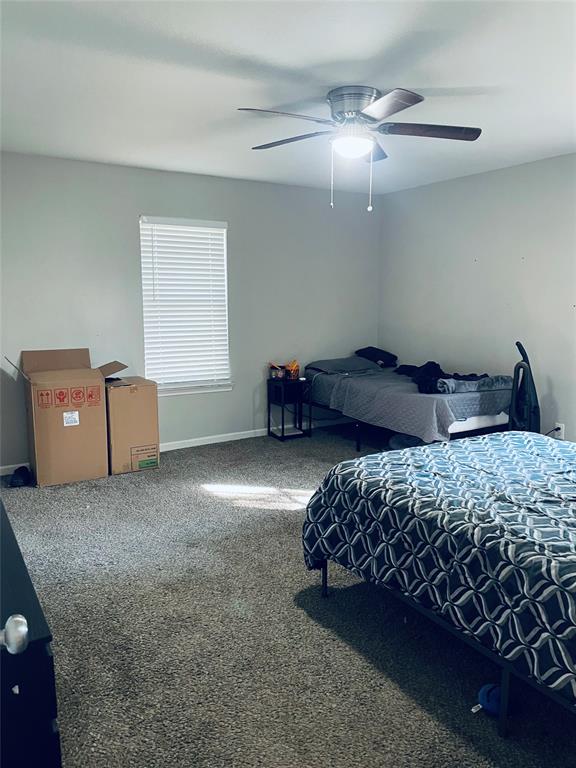 Neutral interior space featuring wall-to-wall carpeting, a single-hung window with horizontal blinds, and a multi-blade ceiling fan with an integrated light fixture Neutral interior space featuring wall-to-wall carpeting, a single-hung window with horizontal blinds, and a multi-blade ceiling fan with an integrated light fixture
