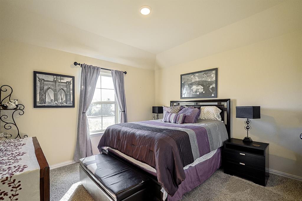 Neutral-toned bedroom featuring tray ceilings, neutral carpeting, and a grid-pane window