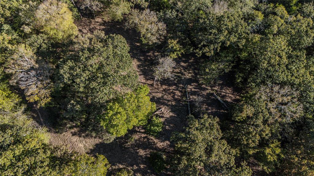4270 FM 753, Athens, TX 75751