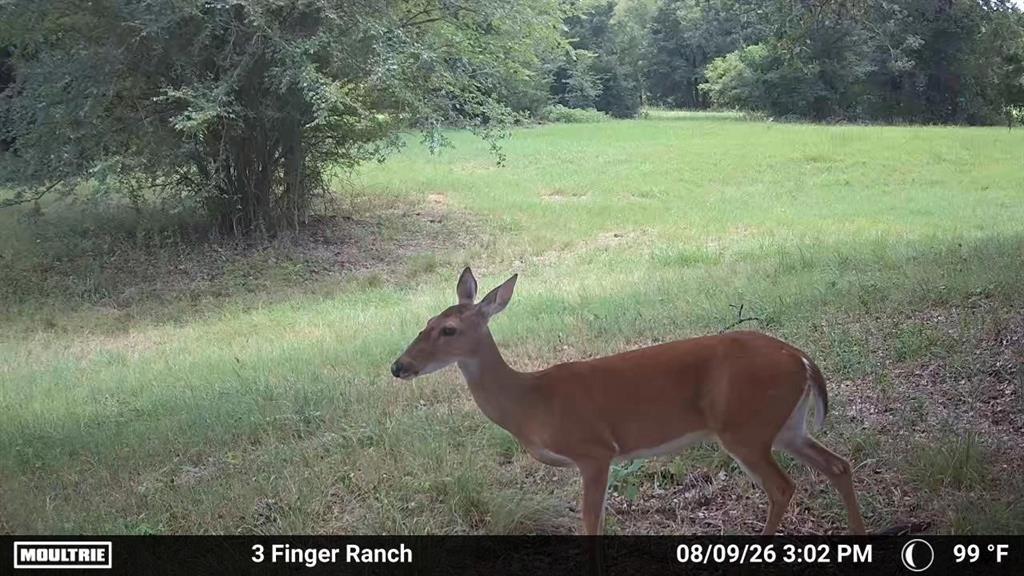 0 Pvt Rd 5209, Athens, TX 75751