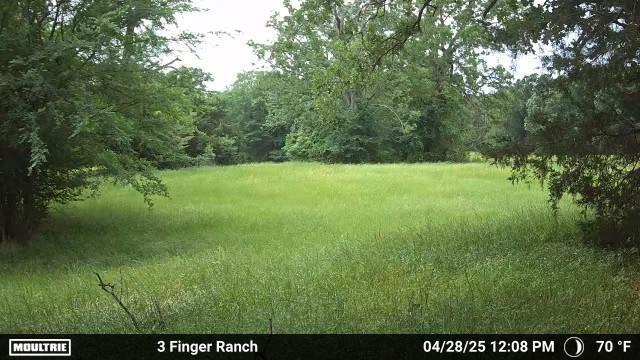 0 Pvt Rd 5209, Athens, TX 75751