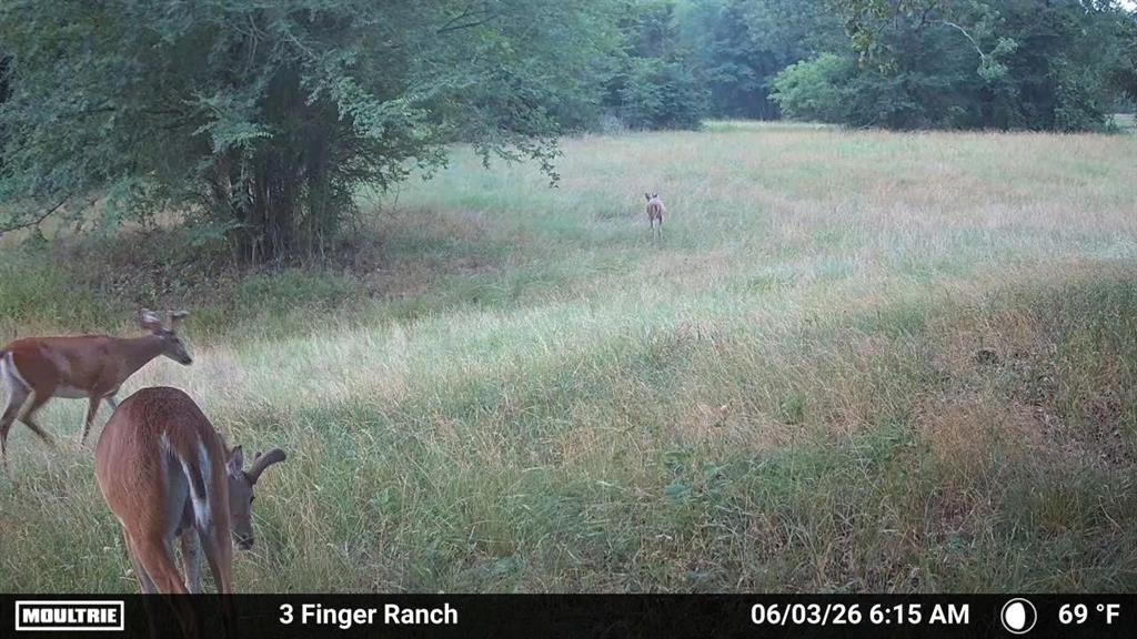 0 Pvt Rd 5209, Athens, TX 75751