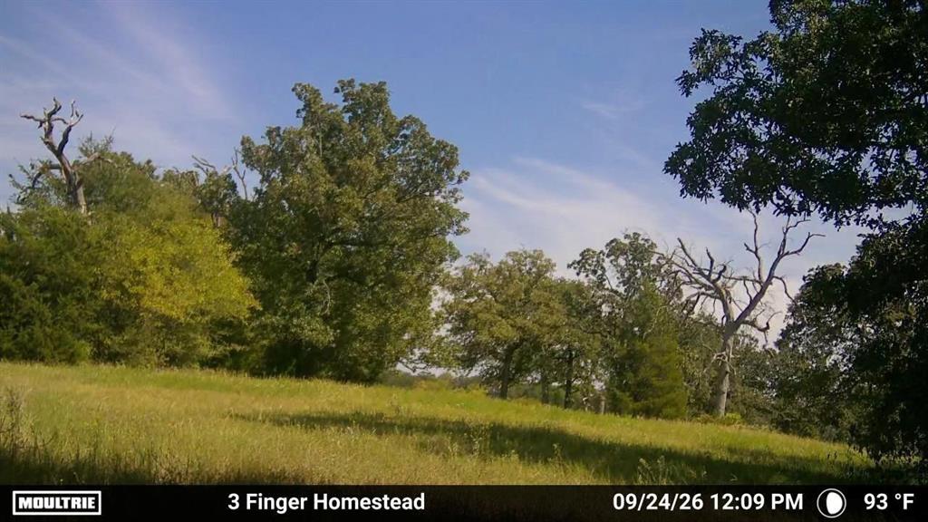 0 Pvt Rd 5209, Athens, TX 75751