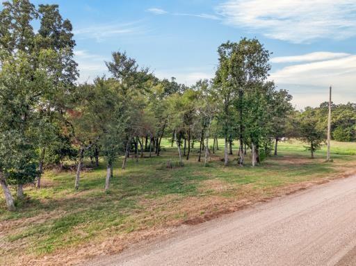 0 Pvt Rd 5209, Athens, TX 75751 0 Pvt Rd 5209, Athens, TX 75751