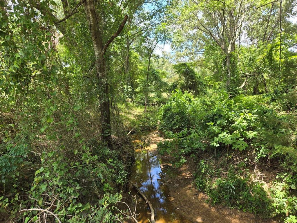 0 Pvt Rd 5209, Athens, TX 75751
