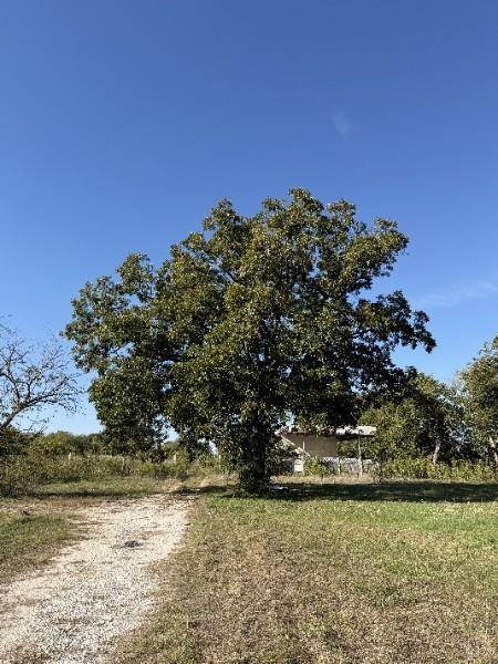 728 N Old Robinson Road, Robinson, TX 76706