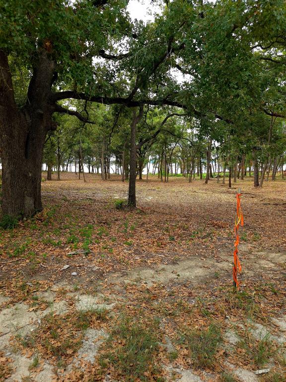 1981 Underwood Drive, Quinlan, TX 75474