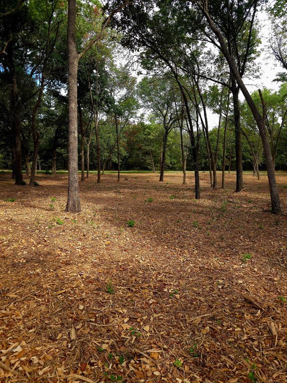 1981 Underwood Drive, Quinlan, TX 75474