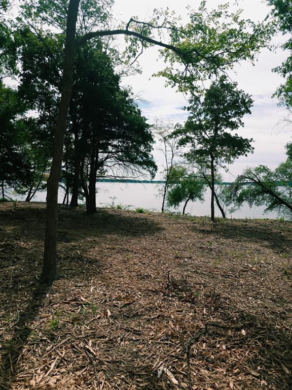 1981 Underwood Drive, Quinlan, TX 75474