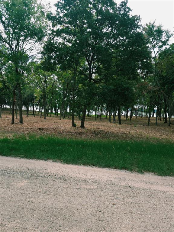 1981 Underwood Drive, Quinlan, TX 75474