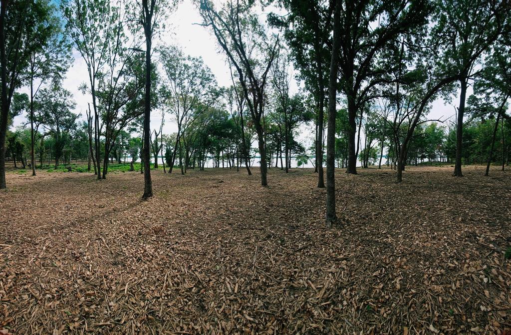 1981 Underwood Drive, Quinlan, TX 75474