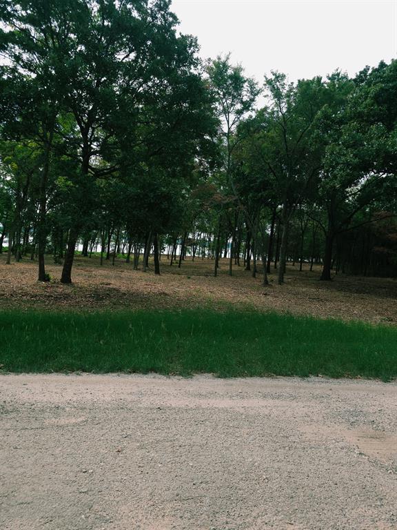 1981 Underwood Drive, Quinlan, TX 75474