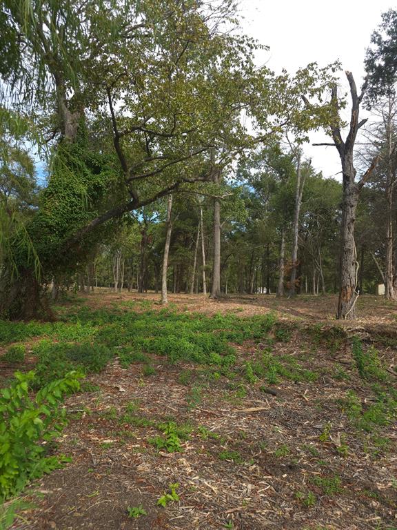 1981 Underwood Drive, Quinlan, TX 75474