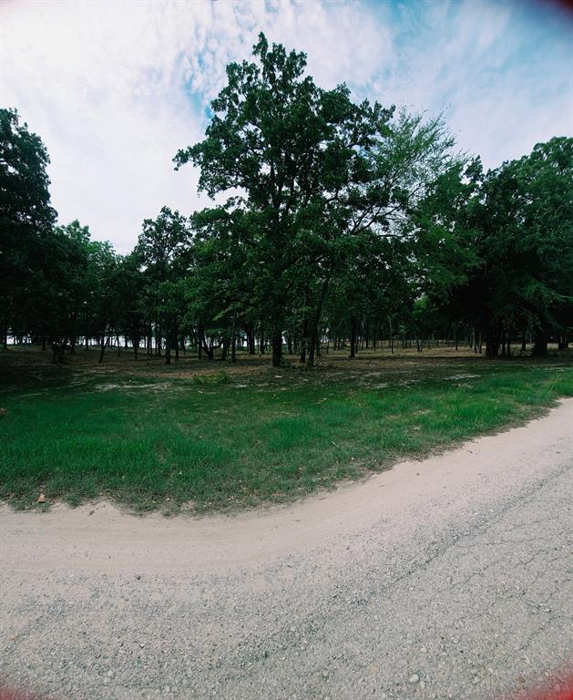 1981 Underwood Drive, Quinlan, TX 75474