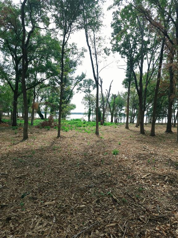 1981 Underwood Drive, Quinlan, TX 75474