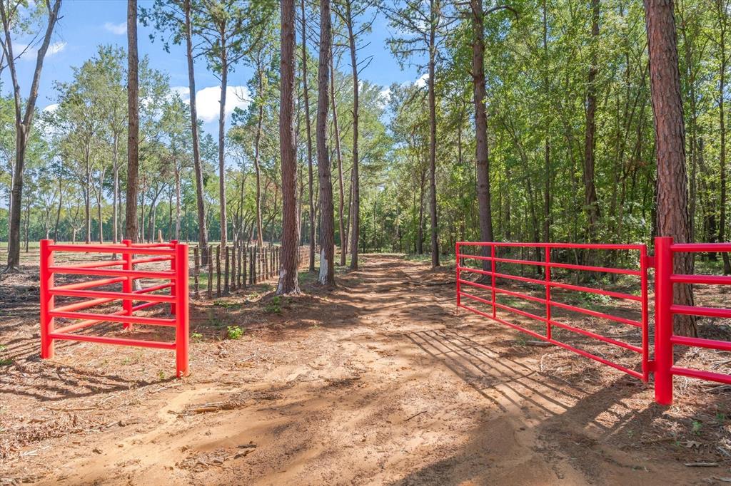 14495 Fm 344 W, Bullard, TX 75757
