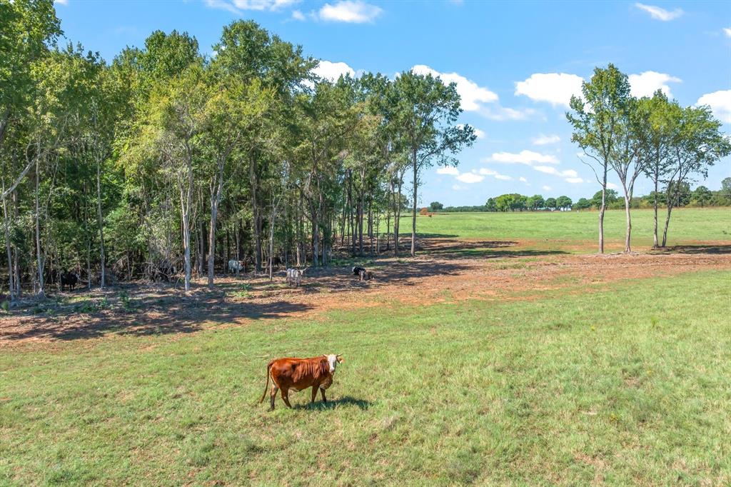 14495 Fm 344 W, Bullard, TX 75757