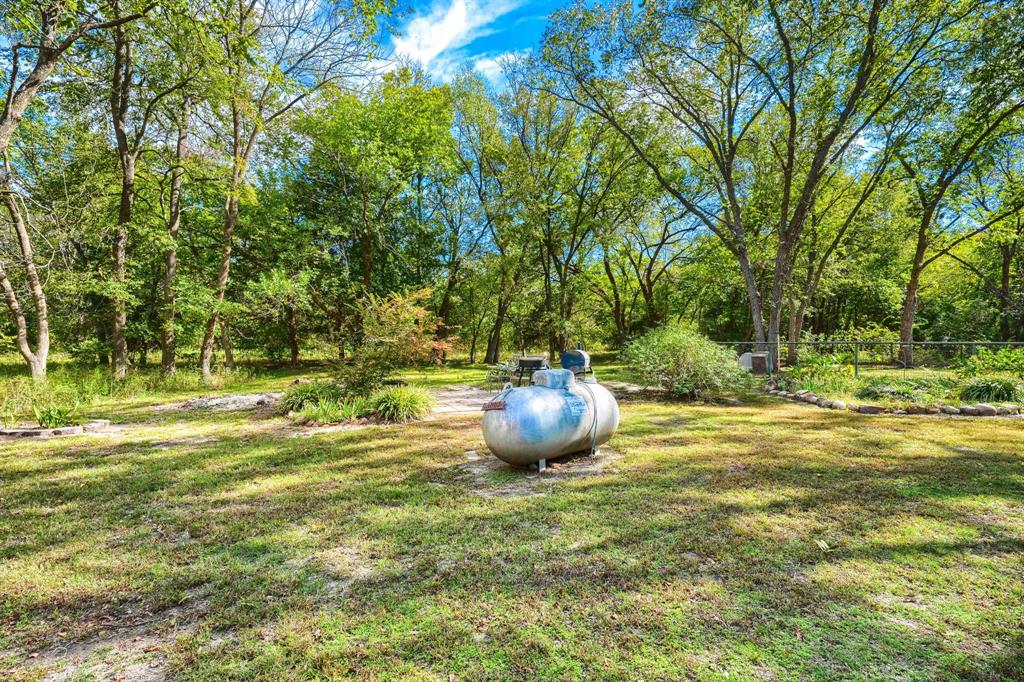 far back yard