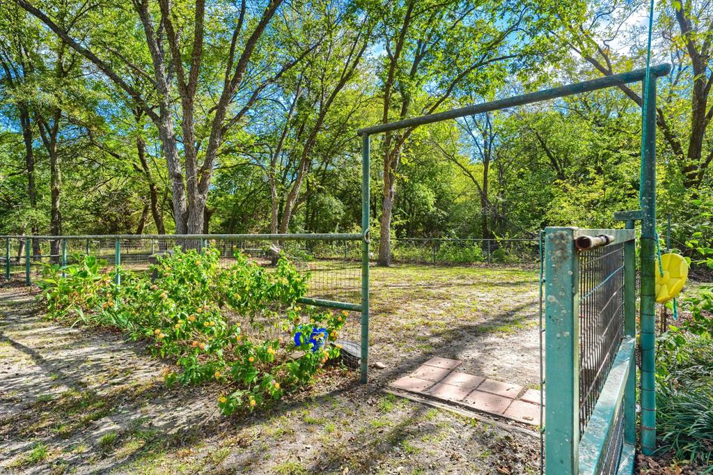 Fenced area for dog or kids area to play