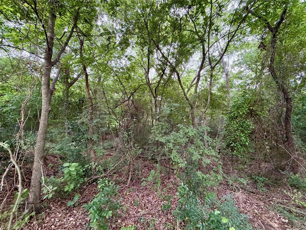 0 Garner Drive, Mabank, TX 75156