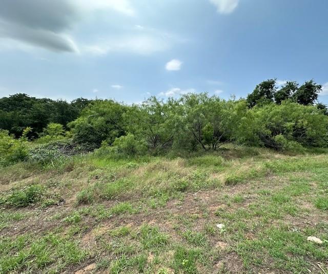 1633 Rockview Drive, Granbury, TX 76049