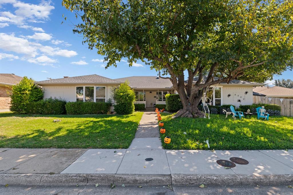 Single-story exterior featuring a light-colored facade, multi-pane windows, a concrete walkway, and a large mature tree in the front yard Single-story exterior featuring a light-colored facade, multi-pane windows, a concrete walkway, and a large mature tree in the front yard