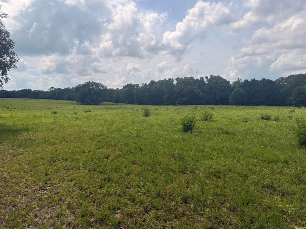5767 Farm to Market Rd 2339, Murchison, TX 75778