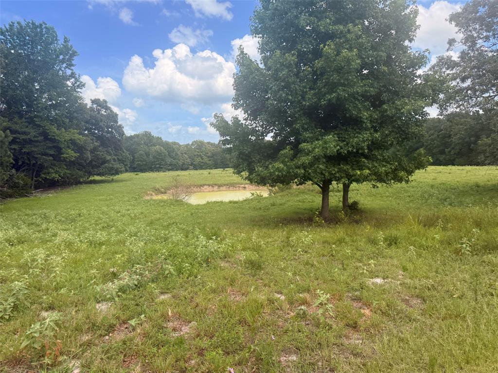 5767 Farm to Market Rd 2339, Murchison, TX 75778