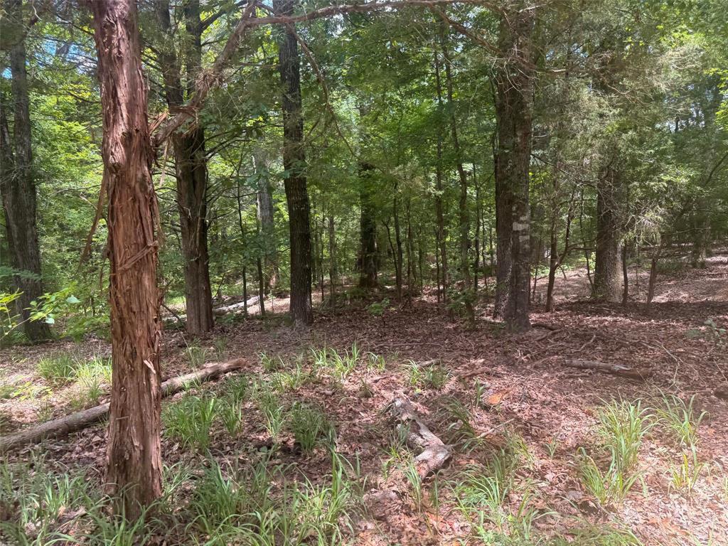 5767 Farm to Market Rd 2339, Murchison, TX 75778